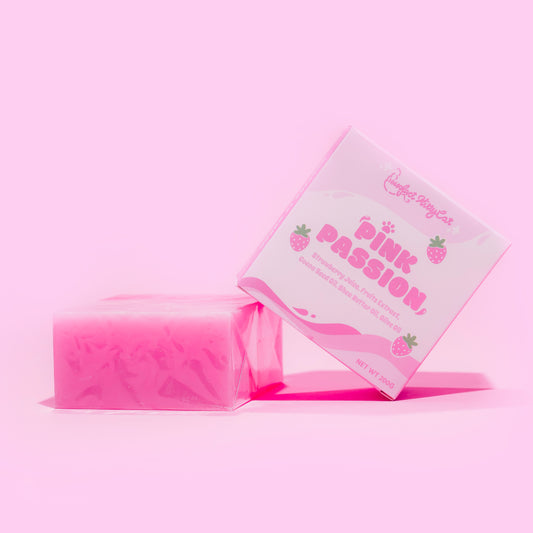 Soap Bar Duo (2 pc)