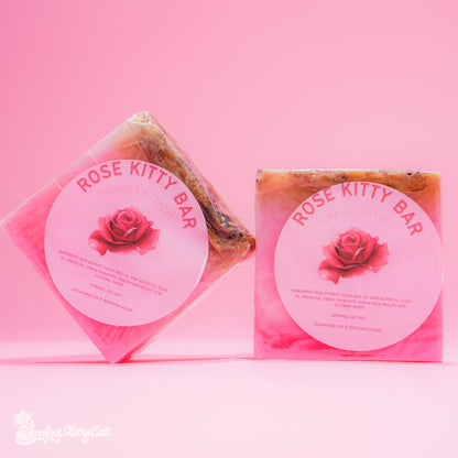 Soap Bar Duo (2 pc)